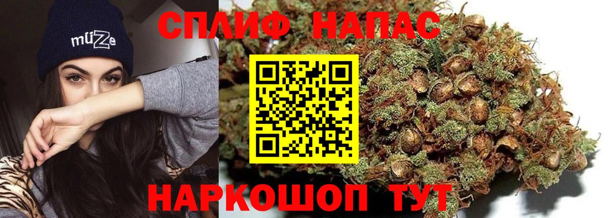 Шишки марихуана Amnesia  Бошки марихуана индика  Ачхой-Мартан  Вход с VPN 
